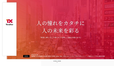 TeraDoxサイトリニューアル